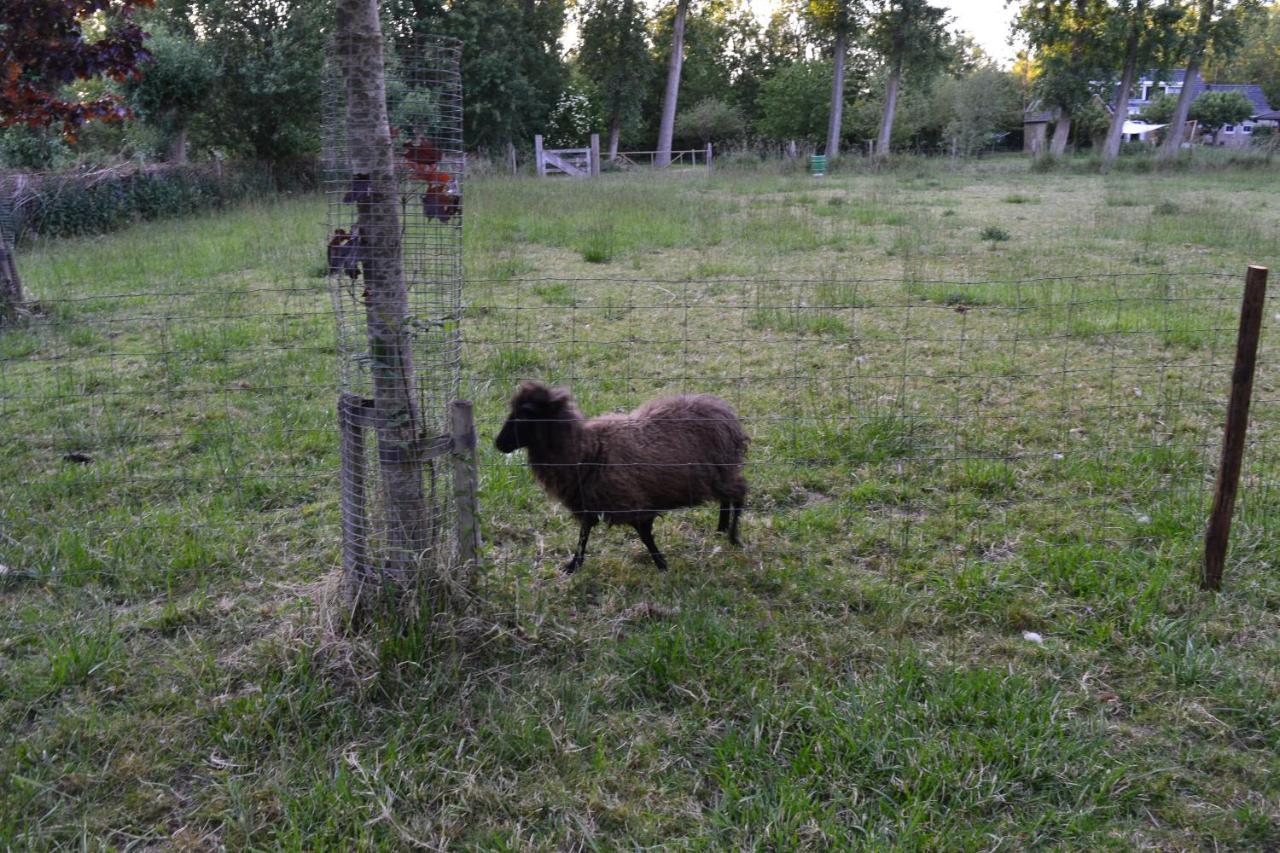 Willa De Galerie - Landgoed Rijckholt Geersdijk Zewnętrze zdjęcie